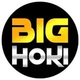 bighoki APK FPS